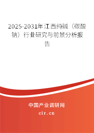 2025-2031年江西純堿（碳酸鈉）行業(yè)研究與前景分析報告