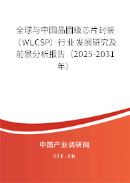 全球與中國晶圓級(jí)芯片封裝（WLCSP）行業(yè)發(fā)展研究及前景分析報(bào)告（2025-2031年）