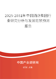 2025-2031年中國酒店集團行業(yè)研究分析與發(fā)展前景預測報告