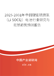 2025-2031年中國鋰亞硫酰氯（Li SOCl2）電池行業(yè)研究與前景趨勢預(yù)測報告