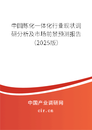 中國煉化一體化行業(yè)現(xiàn)狀調(diào)研分析及市場(chǎng)前景預(yù)測(cè)報(bào)告（2025版）
