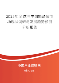 2025年全球與中國能譜儀市場現(xiàn)狀調(diào)研與發(fā)展趨勢預(yù)測分析報告