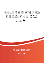 中國(guó)V型槽皮帶輪行業(yè)調(diào)研及行業(yè)前景分析報(bào)告（2025-2031年）