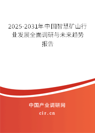 2025-2031年中國智慧礦山行業(yè)發(fā)展全面調(diào)研與未來趨勢報(bào)告
