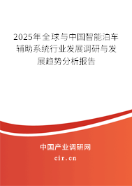 2025年全球與中國智能泊車輔助系統(tǒng)行業(yè)發(fā)展調(diào)研與發(fā)展趨勢分析報(bào)告