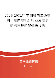 2025-2031年中國(guó)軸向磁通電機(jī)（軸向電機(jī)）行業(yè)發(fā)展調(diào)研與市場(chǎng)前景分析報(bào)告