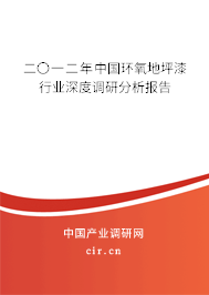 二〇一二年中國環(huán)氧地坪漆行業(yè)深度調研分析報告