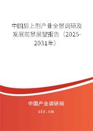 中國后上劑產(chǎn)業(yè)全景調(diào)研及發(fā)展前景展望報(bào)告（2025-2031年）