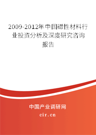 2009-2012年中國磁性材料行業(yè)投資分析及深度研究咨詢報(bào)告