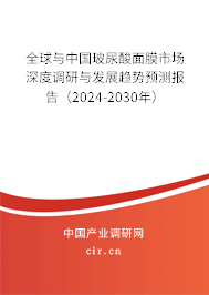 全球與中國玻尿酸面膜市場深度調(diào)研與發(fā)展趨勢預(yù)測報(bào)告（2024-2030年）