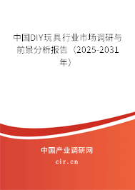 中國(guó)DIY玩具行業(yè)市場(chǎng)調(diào)研與前景分析報(bào)告（2025-2031年）
