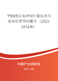 中國感應(yīng)電爐鋼行業(yè)現(xiàn)狀與發(fā)展前景預(yù)測報告（2025-2031年）