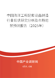 中國海洋工程配套設(shè)備制造行業(yè)現(xiàn)狀研究分析及市場前景預(yù)測報告（2025年）