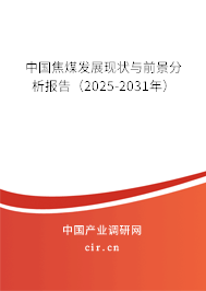 中國焦煤發(fā)展現(xiàn)狀與前景分析報告（2025-2031年）