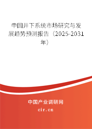 中國井下系統(tǒng)市場研究與發(fā)展趨勢預(yù)測報(bào)告(2025-2031年) 中國井下系統(tǒng)市場研究與發(fā)展趨勢預(yù)測報(bào)告(2025-2031年)
