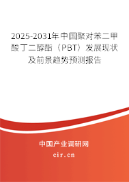 2025-2031年中國(guó)聚對(duì)苯二甲酸丁二醇酯（PBT）發(fā)展現(xiàn)狀及前景趨勢(shì)預(yù)測(cè)報(bào)告