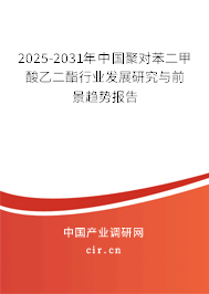 2025-2031年中國聚對苯二甲酸乙二酯行業(yè)發(fā)展研究與前景趨勢報告