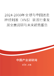 2024-2030年全球與中國(guó)迷走神經(jīng)刺激（VNS）裝置行業(yè)發(fā)展全面調(diào)研與未來(lái)趨勢(shì)報(bào)告