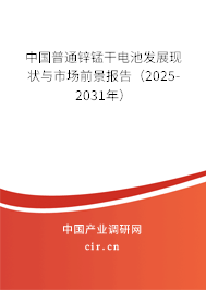 中國普通鋅錳干電池發(fā)展現(xiàn)狀與市場前景報告（2025-2031年）