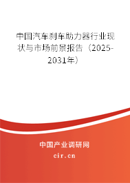 中國(guó)汽車(chē)剎車(chē)助力器行業(yè)現(xiàn)狀與市場(chǎng)前景報(bào)告（2025-2031年）