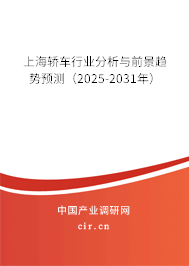 上海轎車行業(yè)分析與前景趨勢預測（2025-2031年）