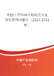 中國十三嗎啉市場研究與發(fā)展前景預(yù)測報告（2025-2031年）