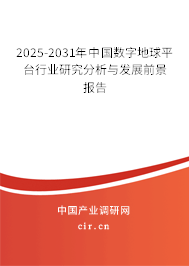 2025-2031年中國(guó)數(shù)字地球平臺(tái)行業(yè)研究分析與發(fā)展前景報(bào)告