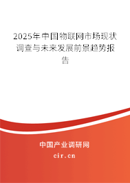 2025年中國(guó)物聯(lián)網(wǎng)市場(chǎng)現(xiàn)狀調(diào)查與未來發(fā)展前景趨勢(shì)報(bào)告