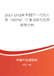 2025-2031年中國下一代防火墻（NGFW）行業(yè)調(diào)研與前景趨勢分析