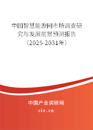中國智慧能源網(wǎng)市場調(diào)查研究與發(fā)展前景預測報告（2025-2031年）