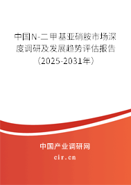 中國N-二甲基亞硝胺市場深度調(diào)研及發(fā)展趨勢評估報告（2025-2031年）