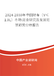2024-2030年中國轎車（V≤1.0L）市場調(diào)查研究及發(fā)展前景趨勢分析報告