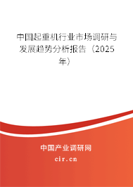 中國起重機行業(yè)市場調(diào)研與發(fā)展趨勢分析報告(2025年) 中國起重機行業(yè)市場調(diào)研與發(fā)展趨勢分析報告(2025年)