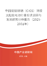 中國銅銦鎵硒（CIGS）薄膜太陽能電池行業(yè)現(xiàn)狀調(diào)研與發(fā)展趨勢分析報告（2025-2031年）