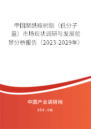 中國聚酰胺樹脂（低分子量）市場(chǎng)現(xiàn)狀調(diào)研與發(fā)展前景分析報(bào)告（2023-2029年）