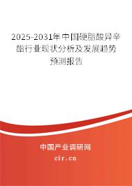 2024-2030年中國硬脂酸異辛酯行業(yè)現(xiàn)狀分析及發(fā)展趨勢預(yù)測報(bào)告