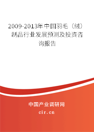 2009-2013年中國羽毛（絨）制品行業(yè)發(fā)展預(yù)測(cè)及投資咨詢報(bào)告