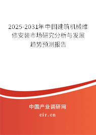 2025-2031年中國建筑機械維修安裝市場研究分析與發(fā)展趨勢預(yù)測報告