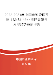 2025-2031年中國電池管理系統(tǒng)（BMS）行業(yè)市場調(diào)研與發(fā)展趨勢預(yù)測報(bào)告