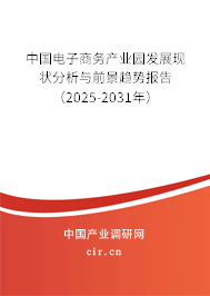 中國電子商務(wù)產(chǎn)業(yè)園發(fā)展現(xiàn)狀分析與前景趨勢報告（2025-2031年）