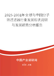 2025-2031年全球與中國(guó)分子篩過(guò)濾器行業(yè)發(fā)展現(xiàn)狀調(diào)研與發(fā)展趨勢(shì)分析報(bào)告