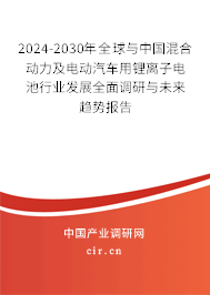 2024-2030年全球與中國(guó)混合動(dòng)力及電動(dòng)汽車(chē)用鋰離子電池行業(yè)發(fā)展全面調(diào)研與未來(lái)趨勢(shì)報(bào)告
