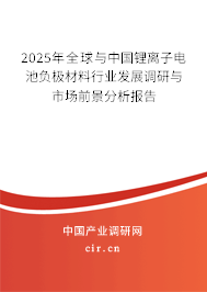 2025年全球與中國鋰離子電池負(fù)極材料行業(yè)發(fā)展調(diào)研與市場(chǎng)前景分析報(bào)告