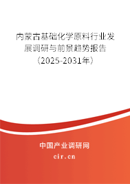 內(nèi)蒙古基礎(chǔ)化學(xué)原料行業(yè)發(fā)展調(diào)研與前景趨勢報告（2025-2031年）