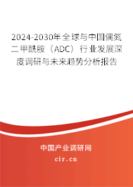 2024-2030年全球與中國偶氮二甲酰胺（ADC）行業(yè)發(fā)展深度調(diào)研與未來趨勢分析報告