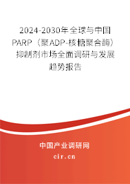 2024-2030年全球與中國PARP（聚ADP-核糖聚合酶）抑制劑市場全面調研與發(fā)展趨勢報告