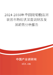 2024-2030年中國葡萄糖監(jiān)測裝置市場現(xiàn)狀深度調(diào)研及發(fā)展趨勢分析報告