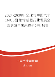 2024-2030年全球與中國(guó)汽車CMOS圖像傳感器行業(yè)發(fā)展全面調(diào)研與未來(lái)趨勢(shì)分析報(bào)告