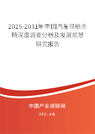 2025-2031年中國汽車導(dǎo)航市場(chǎng)深度調(diào)查分析及發(fā)展前景研究報(bào)告