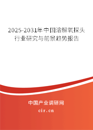 2025-2031年中國溶解氧探頭行業(yè)研究與前景趨勢報告 2025-2031年中國溶解氧探頭行業(yè)研究與前景趨勢報告
